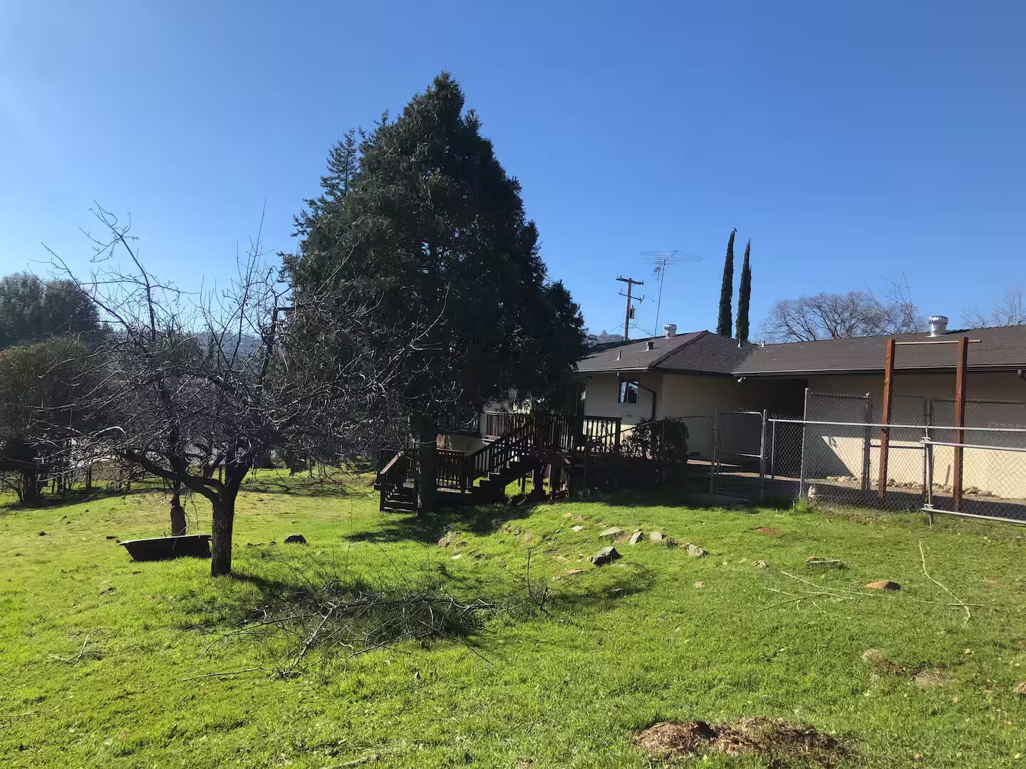 A residential property with a large tree, a fenced yard, and a house with a visible garage.