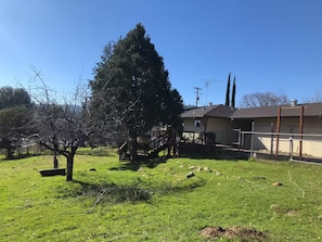 Una propietat residencial amb un gran arbre, un pati tancat i una casa amb un garatge visible.