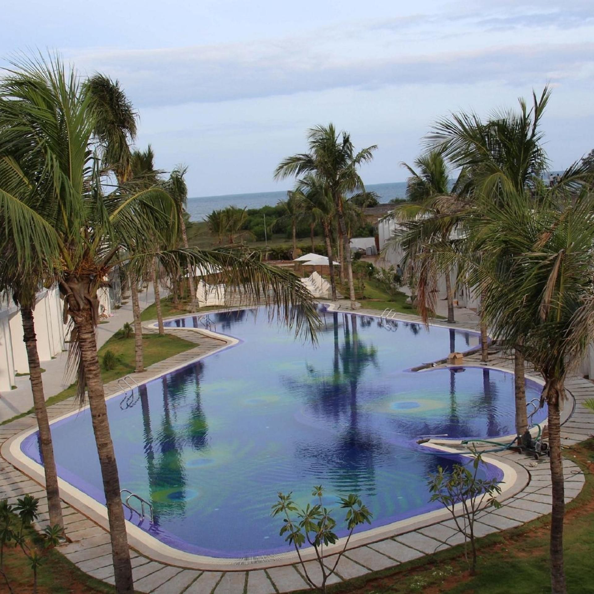 A large, curved swimming pool surrounded by palm trees and a view of the ocean.