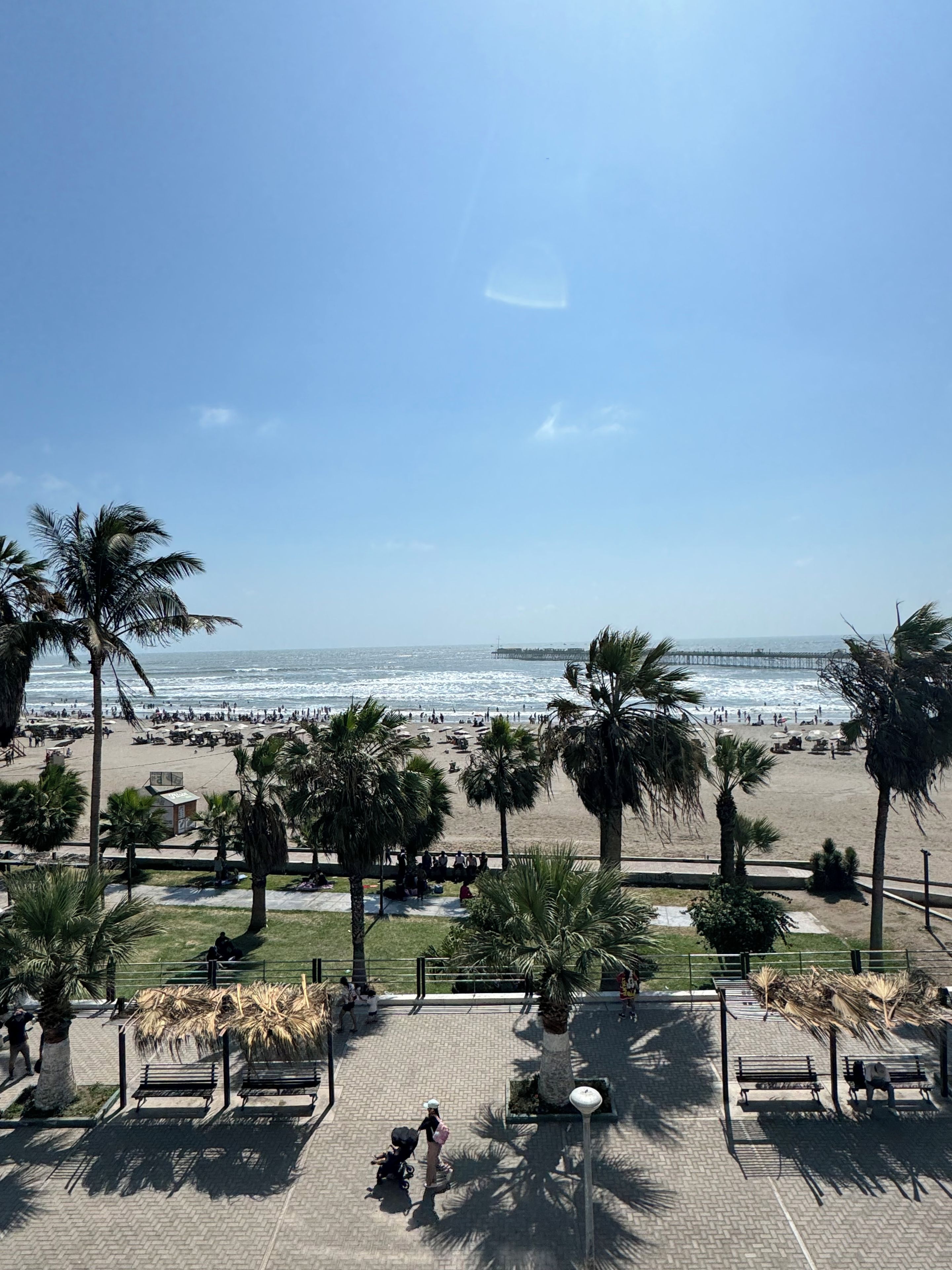 Eine Strandpromenade mit Palmen, Bänken und Blick auf den Ozean.