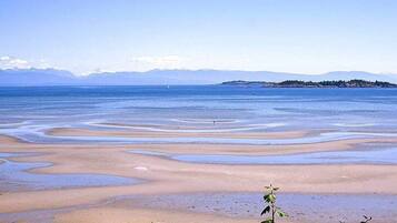 Ein Strand mit klarem Wasser und einer entfernten Insel.