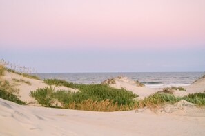 Uma praia com dunas de areia e vegetação rasteira.