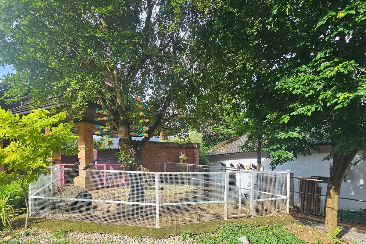 Standard Tent, Balcony, Mountain View | Property grounds