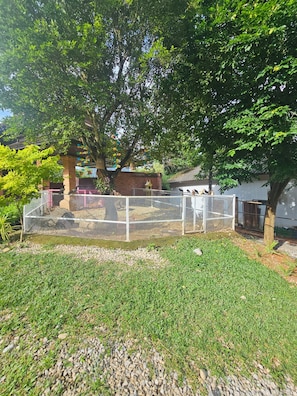 Standard Tent, Balcony, Mountain View | Property grounds