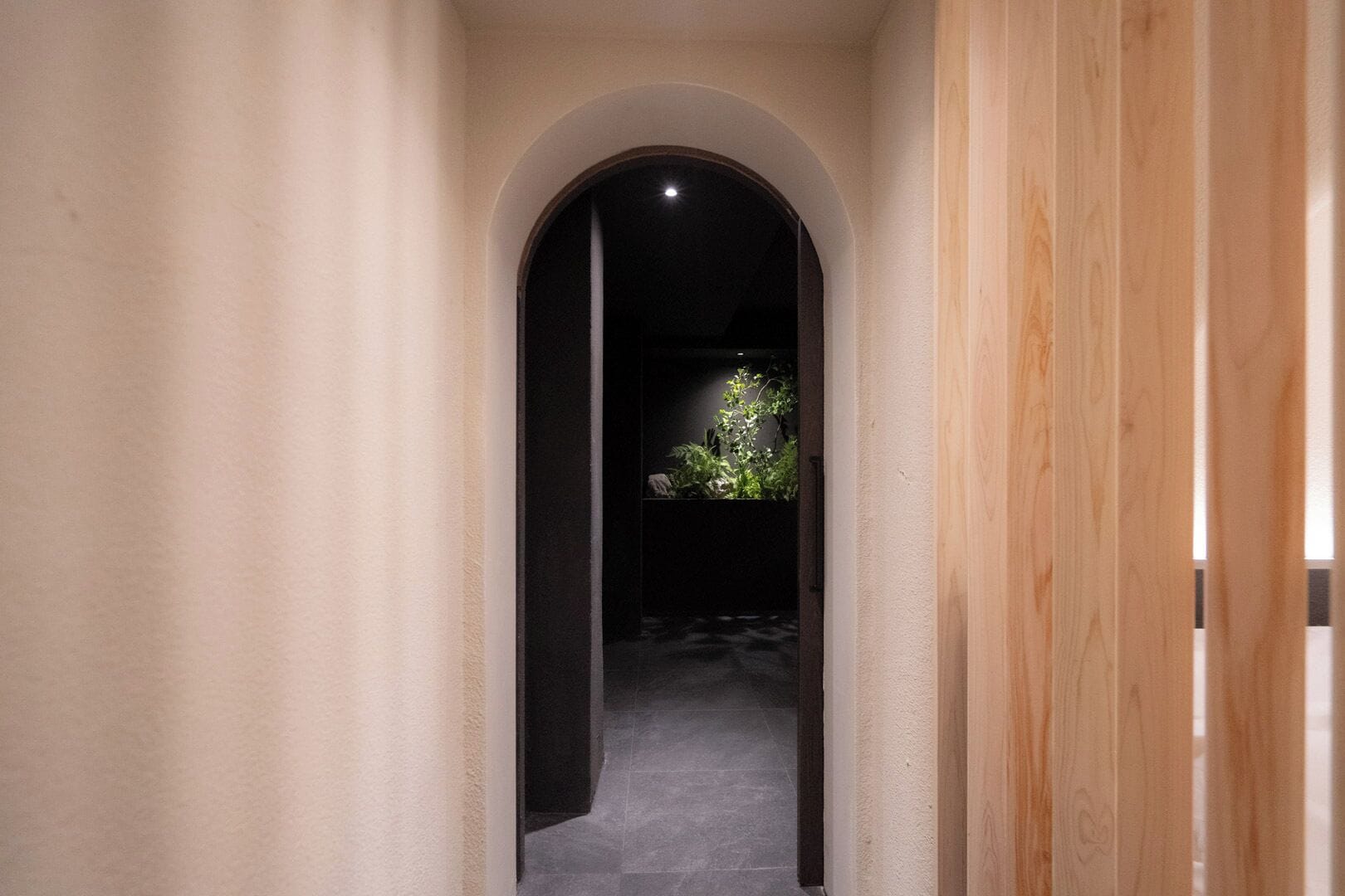 A hallway with a wooden door on the right and a plant in the background.