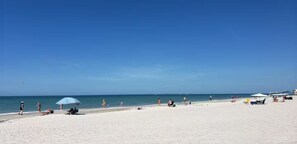 A beach with people, umbrellas, and beach chairs. - Forever Sunshine - Fully Renovated (St. Petersburg)