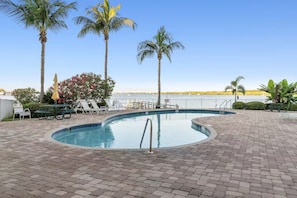 A swimming pool with a curved edge, surrounded by a brick patio, palm trees, and a view of the water. - Forever Sunshine - Fully Renovated (St. Petersburg)