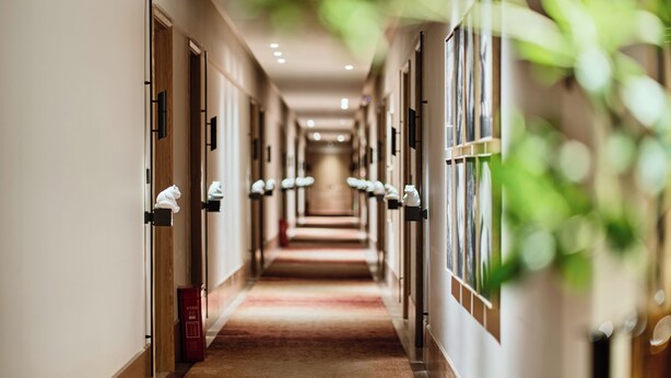 Un pasillo de hotel con puertas, luminarias y piso alfombrado.