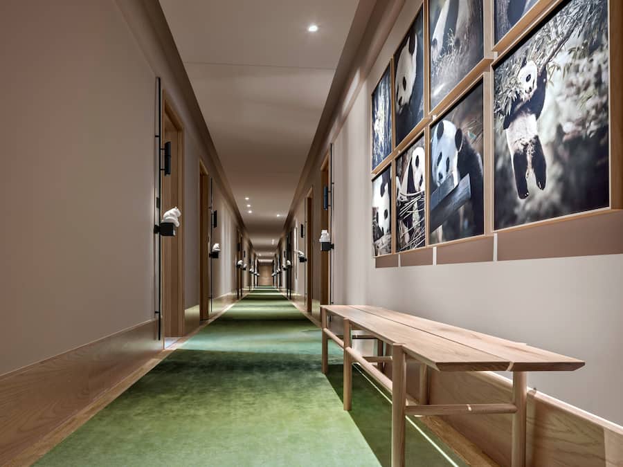 A hotel corridor with a green carpet, wooden benches, and panda-themed wall art.