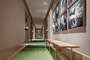 Un pasillo de hotel con alfombra verde, bancos de madera y decoración de paredes temática de pandas.