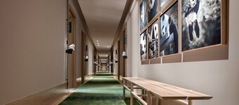 P d PANDA HOTEL