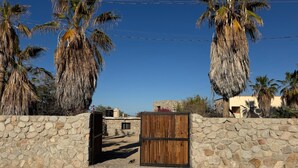 A stone wall with a wooden gate, palm trees, and a clear blue sky.
