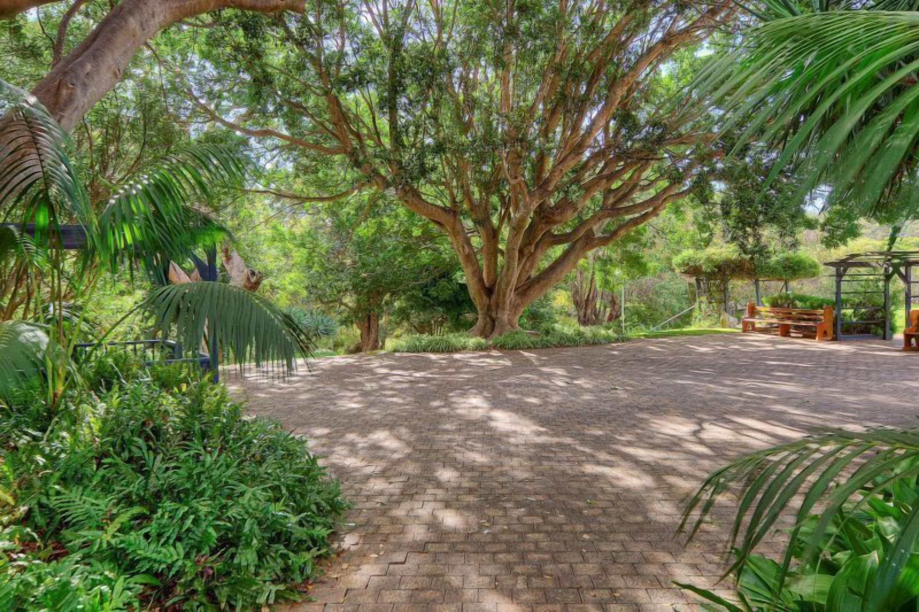 A paved pathway leading to a gazebo surrounded by lush greenery and trees.