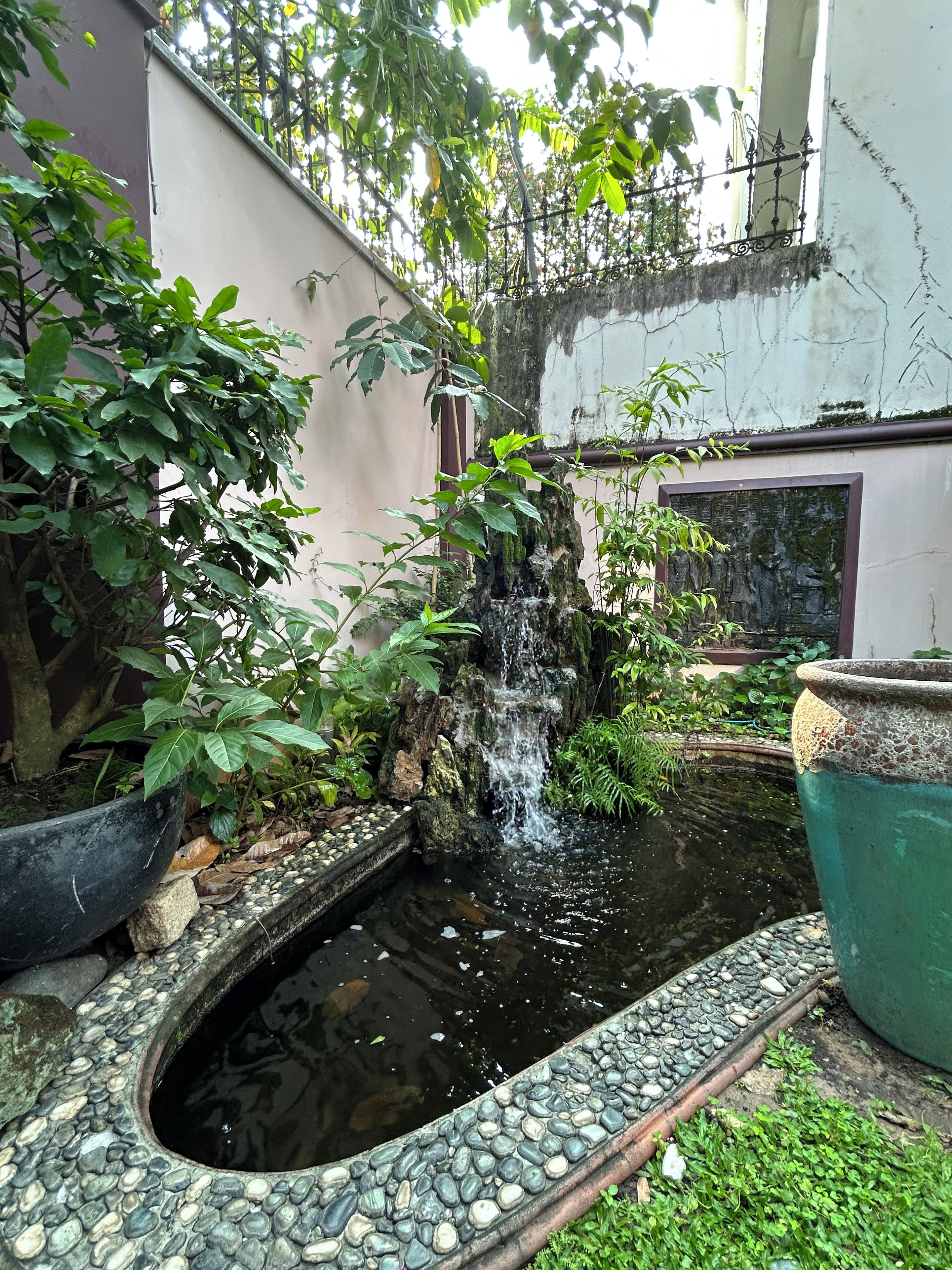 Un pequeño jardín con un estanque, una cascada y diversas plantas.