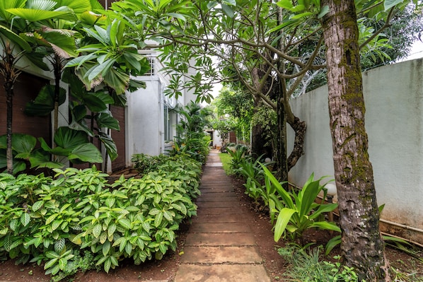 Un sendero estrecho bordeado por abundante vegetación y una pared blanca, que conduce a la entrada de un edificio.