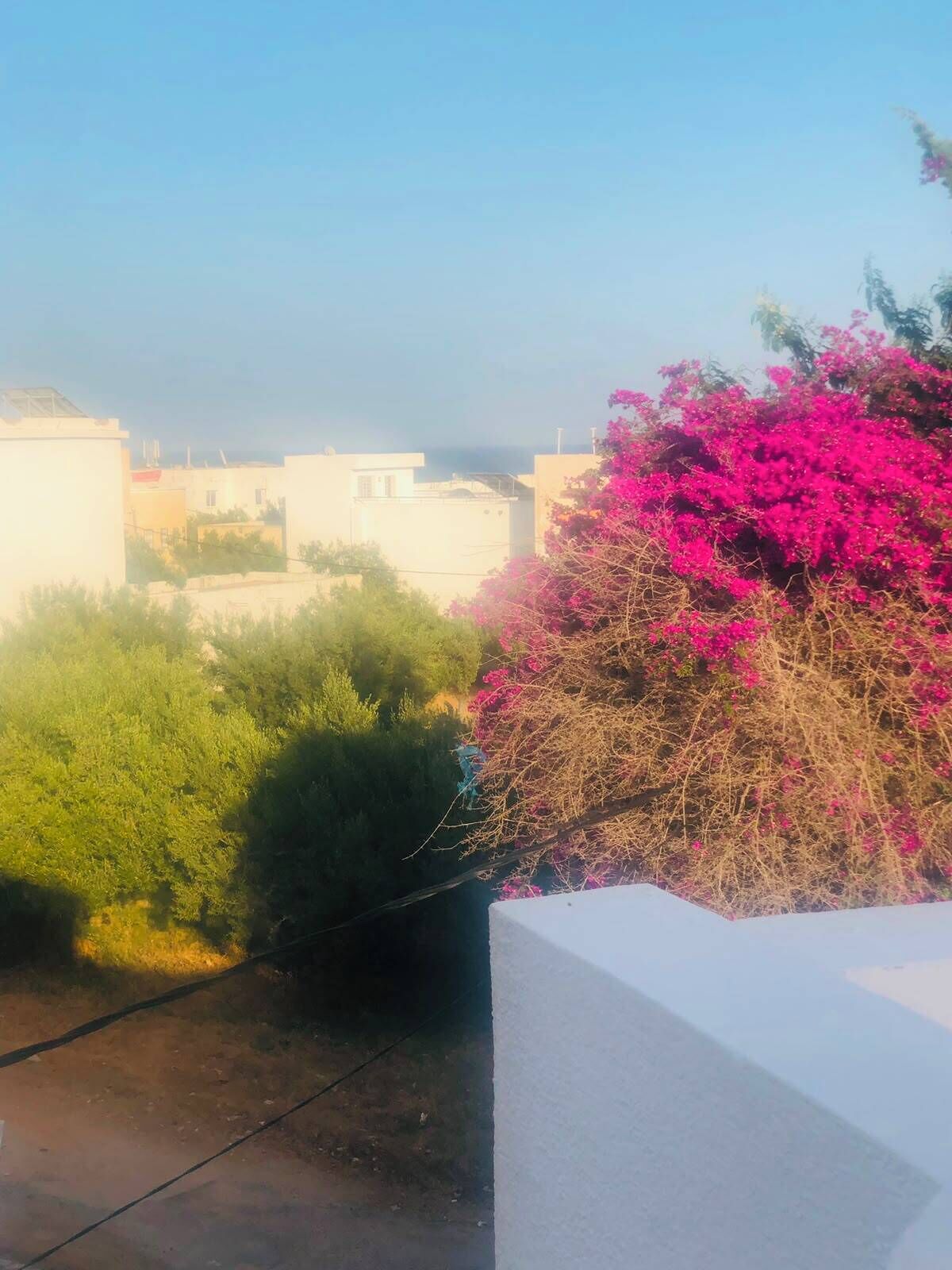 Ein Wohngebiet mit Häusern und einem Baum mit rosa Blüten.