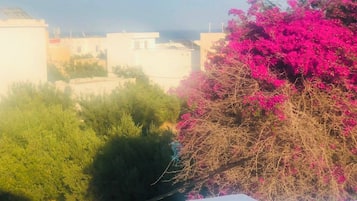 Ein Wohngebiet mit Häusern und einem Baum mit rosa Blüten.