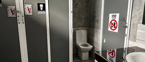 Een badkamer met een toilet, een wastafel en een spiegel. Er staan bordjes op de muren die aangeven waar je aan moet trekken en waar niet aan mag zitten.