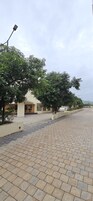 Un sendero pavimentado con árboles y un edificio de diseño moderno.