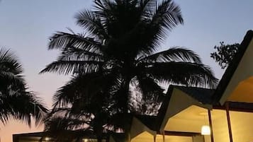 Un resort con múltiples bungalows sobre el agua, palmeras y cielo despejado.