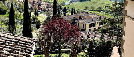 A view of a vineyard landscape with buildings and trees.