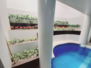 Pool - Avana Hills Tagaytay Manor - Amsterdam (Tagaytay City)