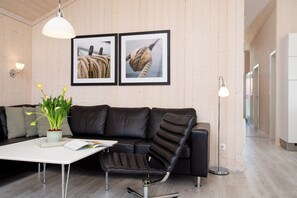 Smart-TV, Kamin