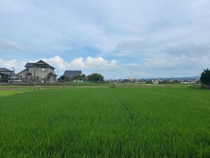 Un barrio residencial con casas y un amplio campo verde.