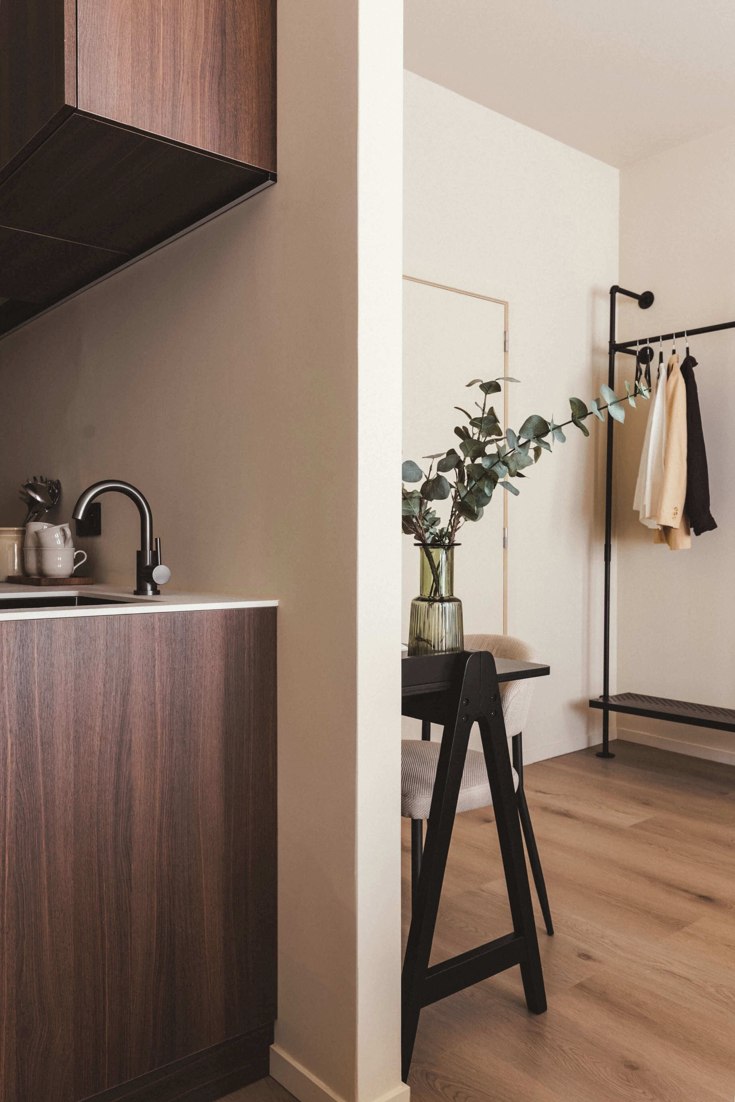 Une cuisine moderne avec des meubles en bois foncé, un évier en acier inoxydable et une plante en pot.