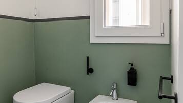 Shower, hair dryer, bidet, towels