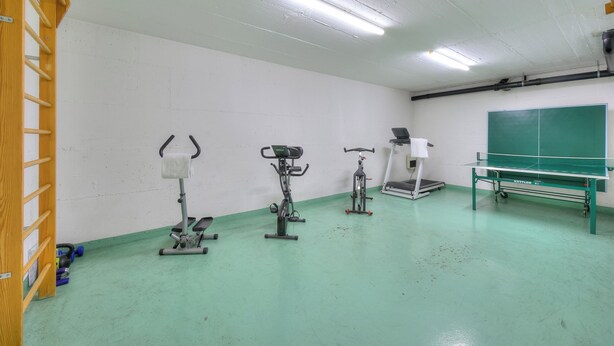 A gym with exercise equipment including a treadmill, stationary bike, and elliptical. - Emotion Lake Lugano With Direct Lake Access and Shared Pool (Mendrisio)