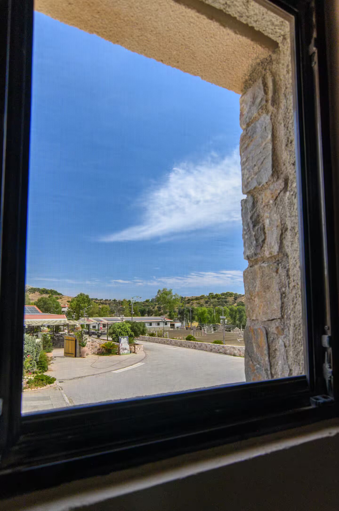 A window with a view of a street, buildings, and greenery.