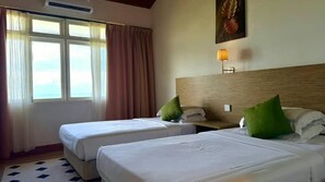 Phòng 2 giường đơn Deluxe | Bàn ủi/dụng cụ ủi quần áo, truy cập Internet không dây miễn phí