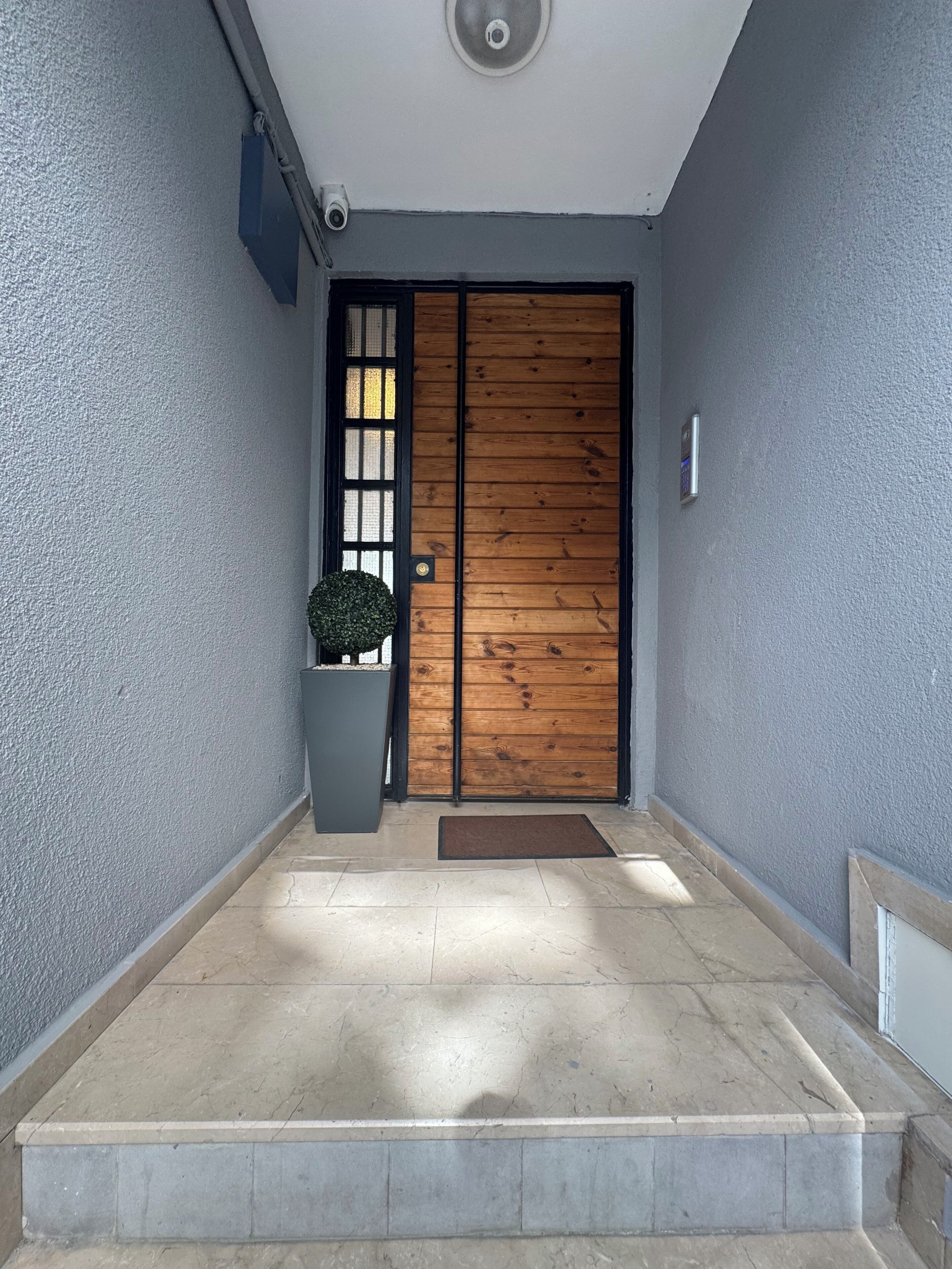 A modern entrance with a wooden door, a potted plant, and a tiled floor.