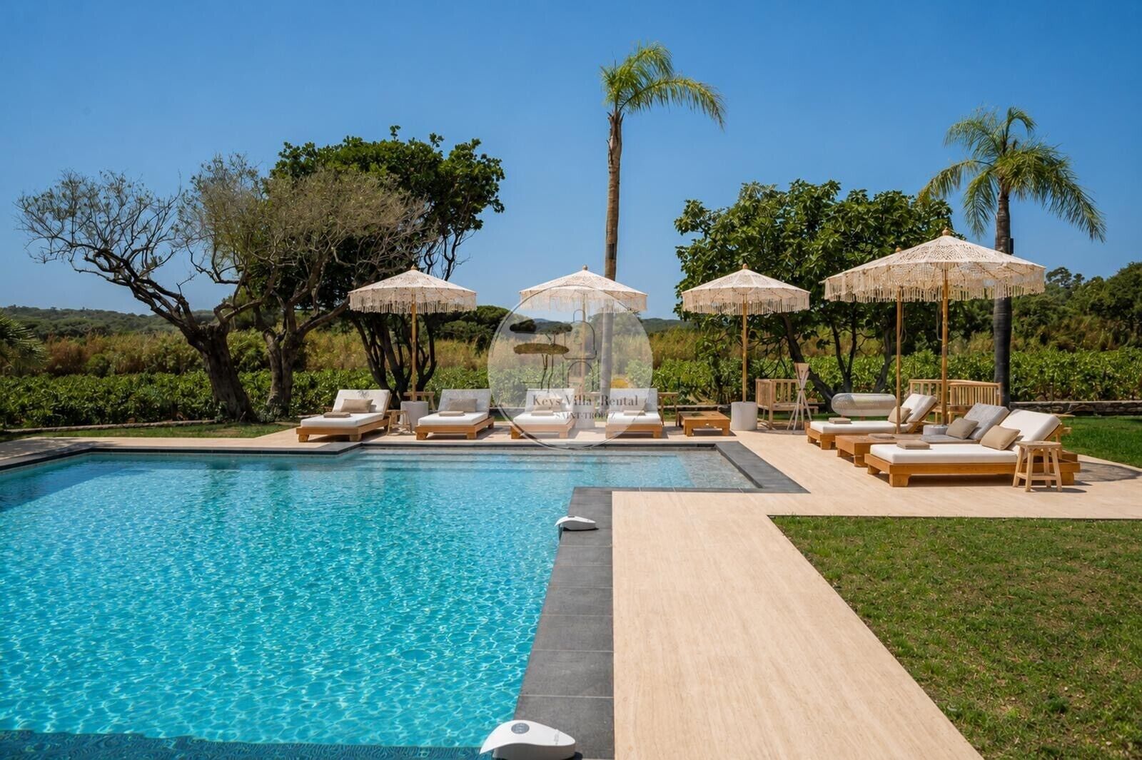 Piscina com espreguiçadeiras e guarda-sóis, rodeada por vegetação e árvores.