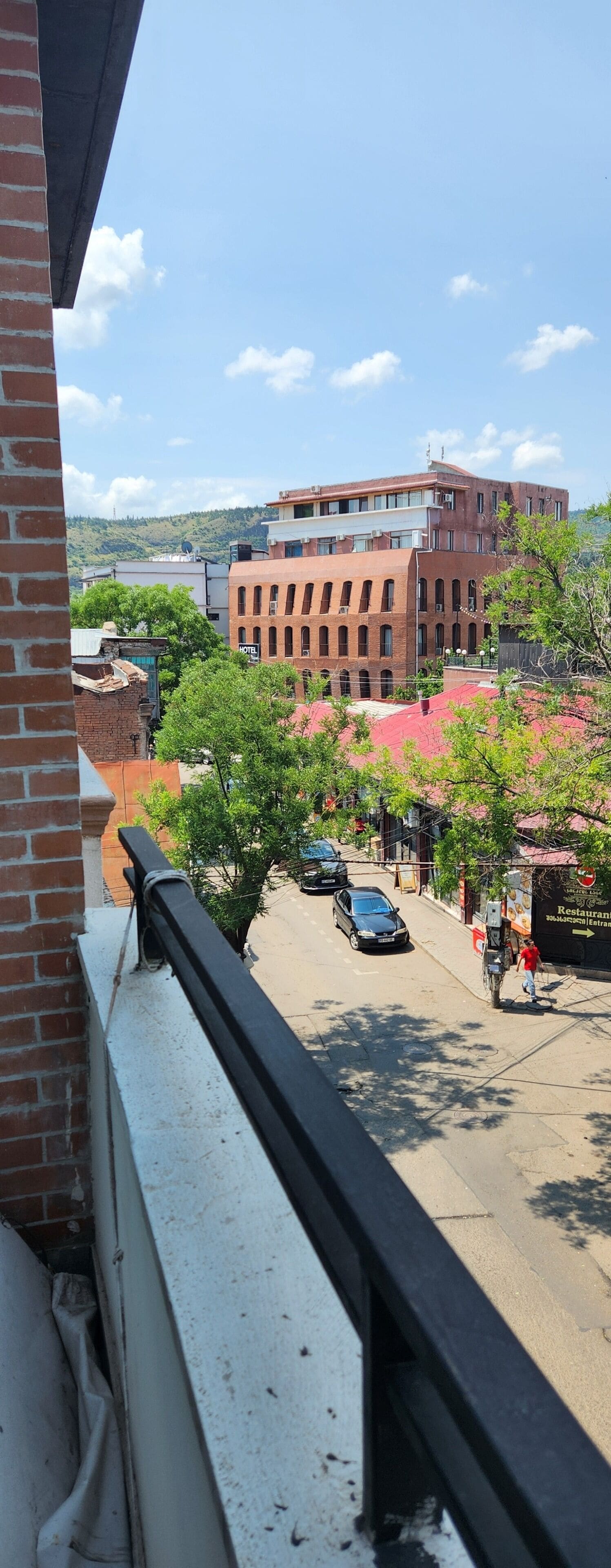 Vista desde un balcón sobre una calle con un edificio al fondo, un coche aparcado y un árbol de hojas verdes.