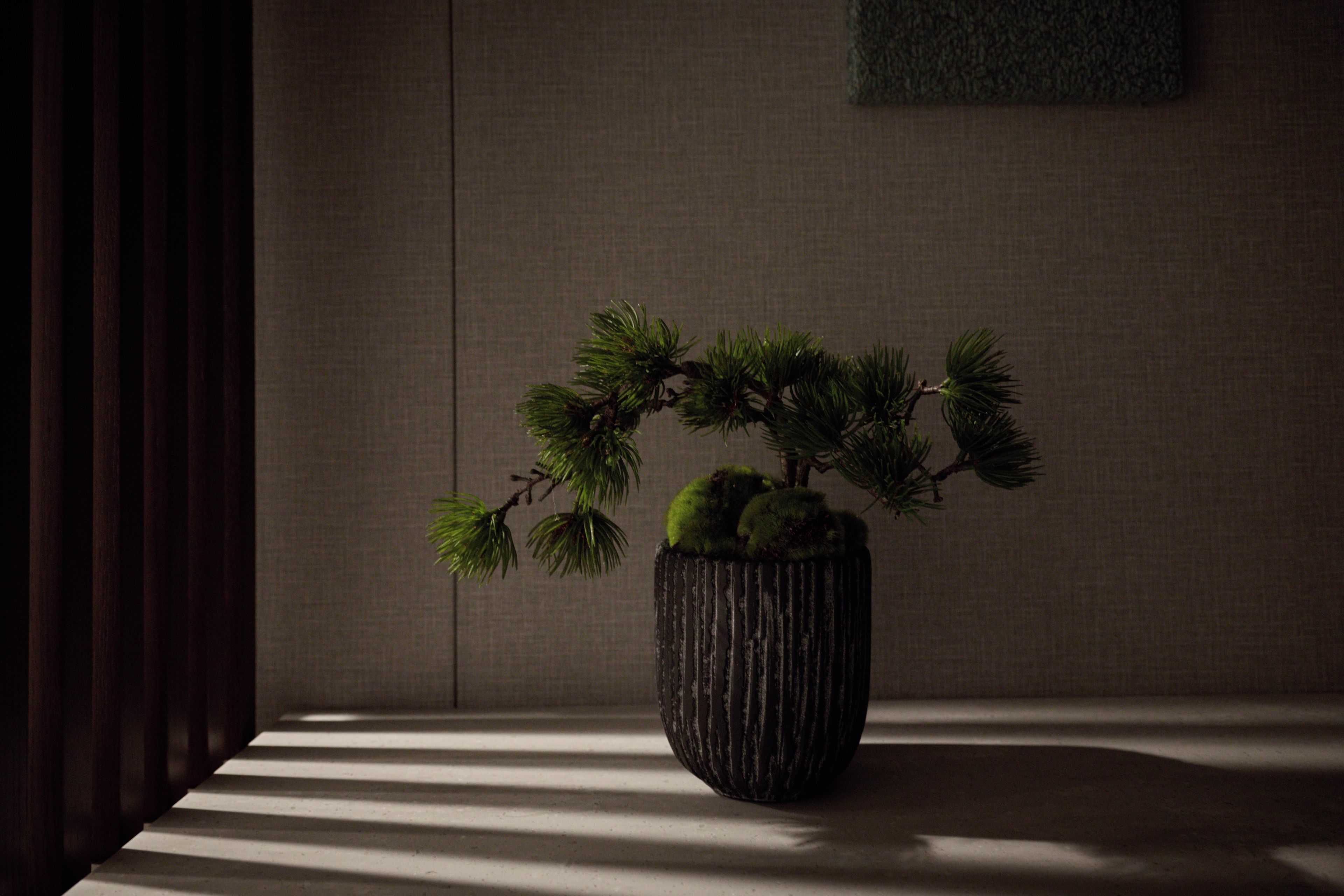 A potted plant with a textured pot on a table, casting shadows on the floor.