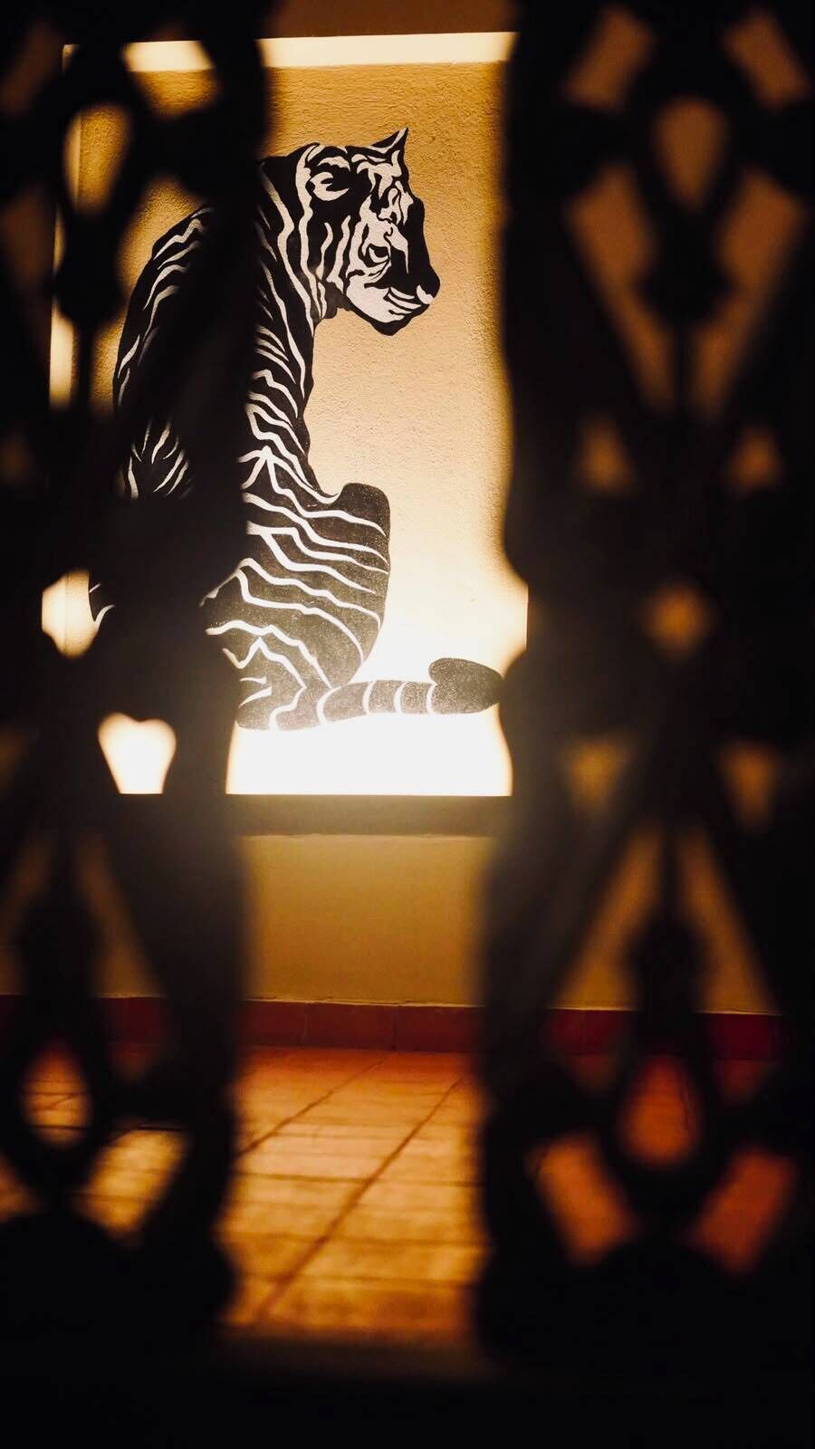 Silueta de un tigre frente a una pared, enmarcada por una ventana con vista a un suelo de baldosas.