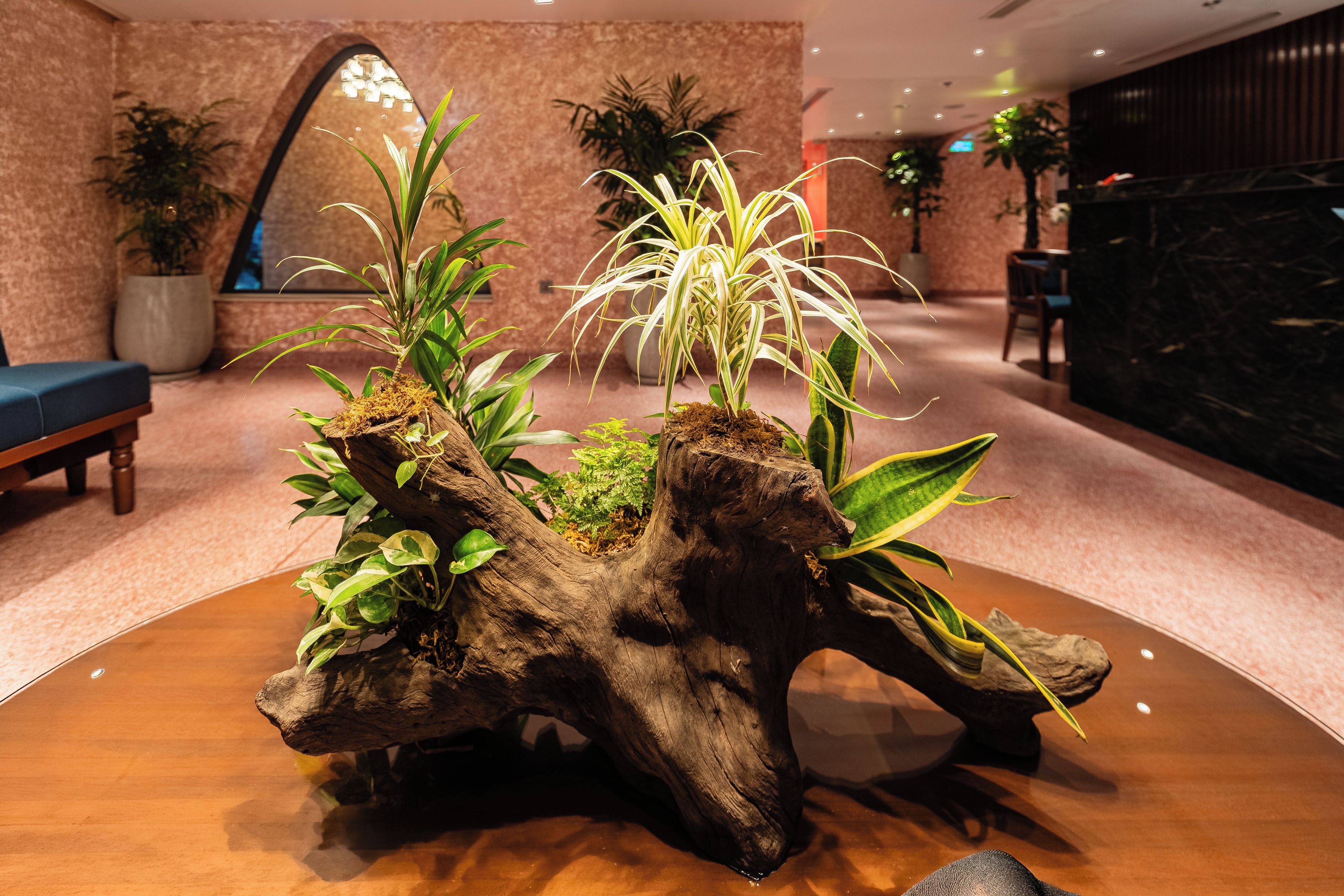 A lobby area with a wooden display featuring plants and a bench.