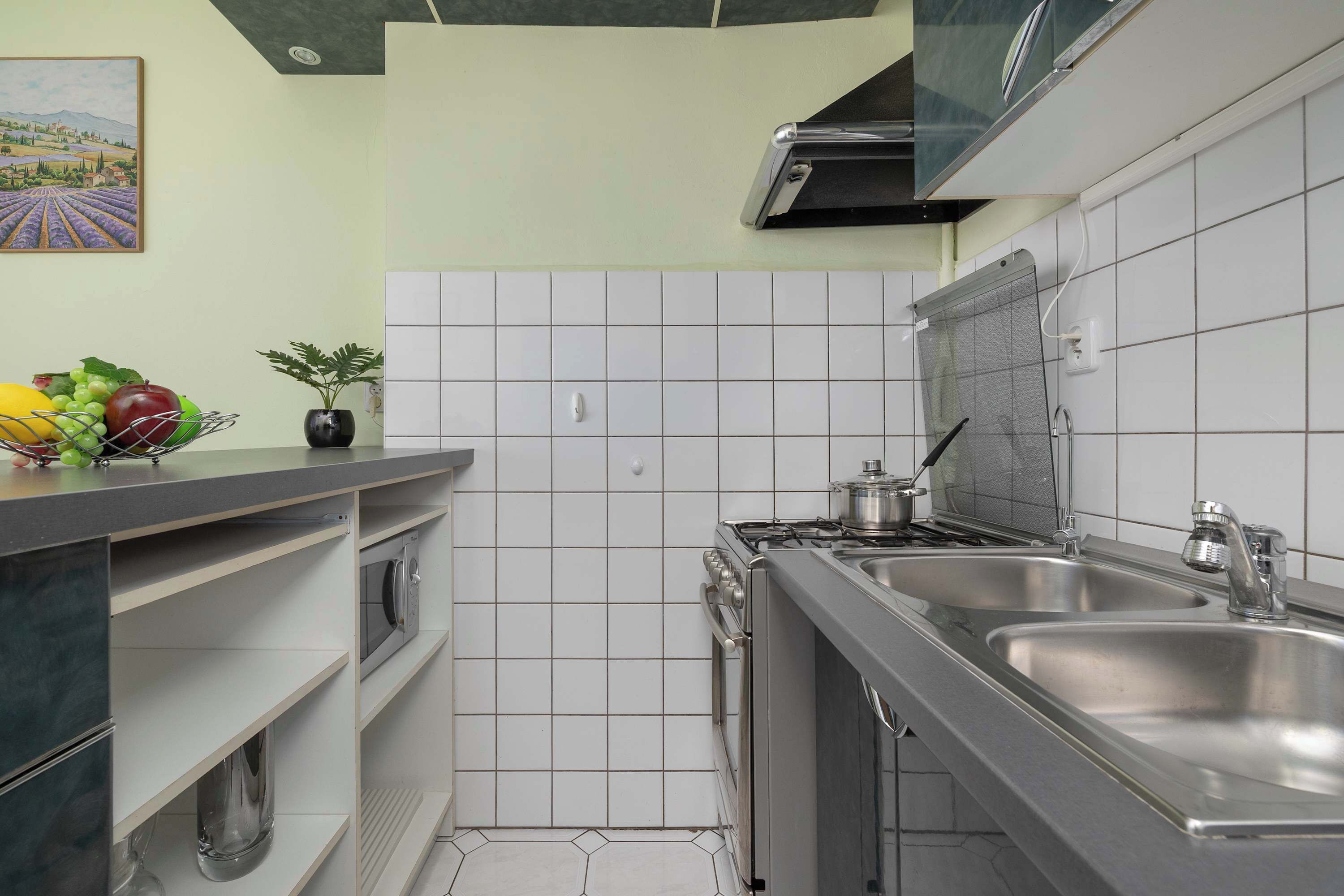 A modern kitchen with a gas stove, two sinks, a dishwasher, and a small potted plant on the counter.