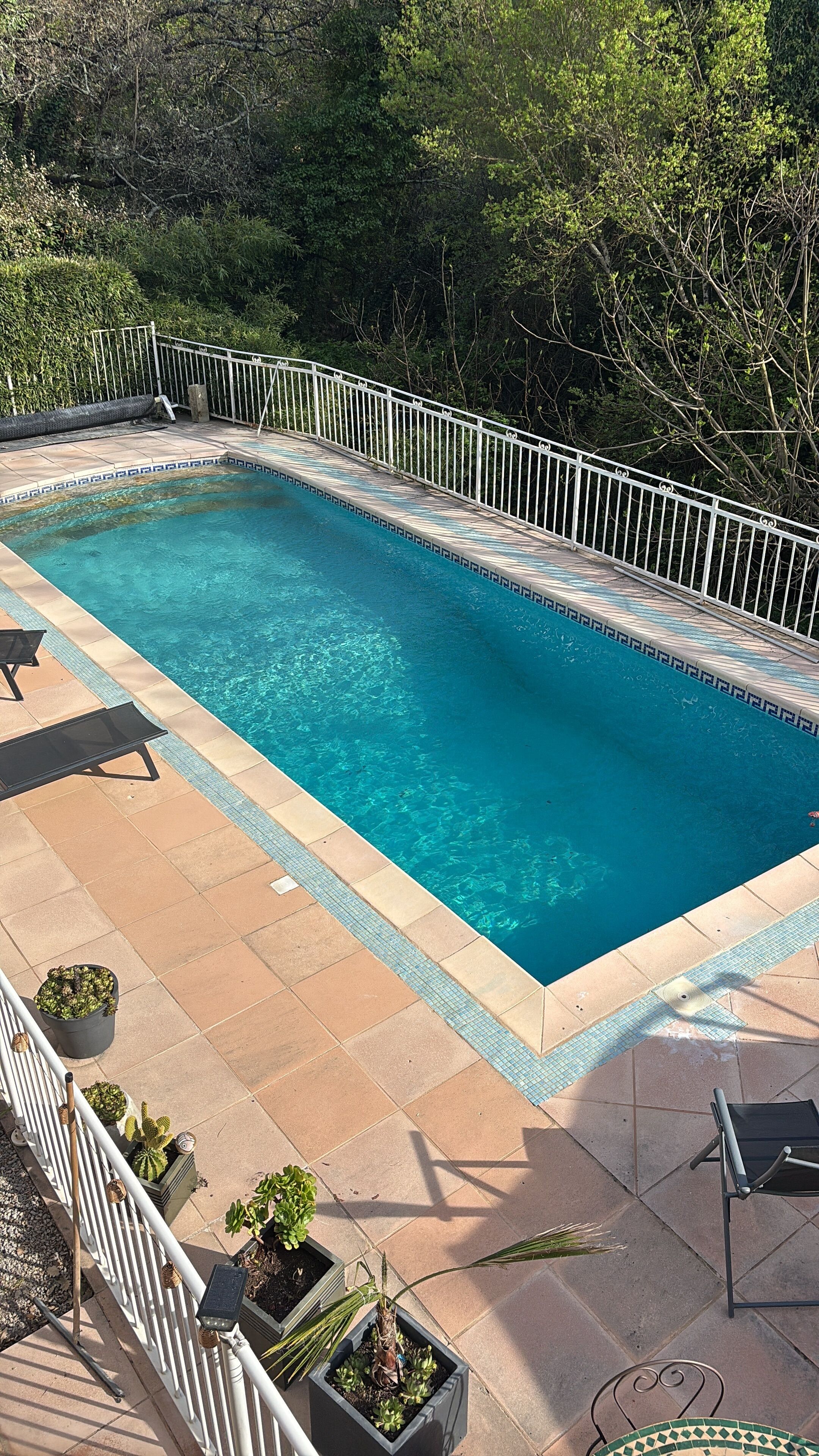 A rectangular swimming pool with a tiled edge, surrounded by a white metal fence, and potted plants on the patio.