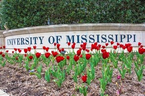 A sign for the University of Mississippi with red tulips in front. - "Sippin' Pretty" by OVR (Oxxford)