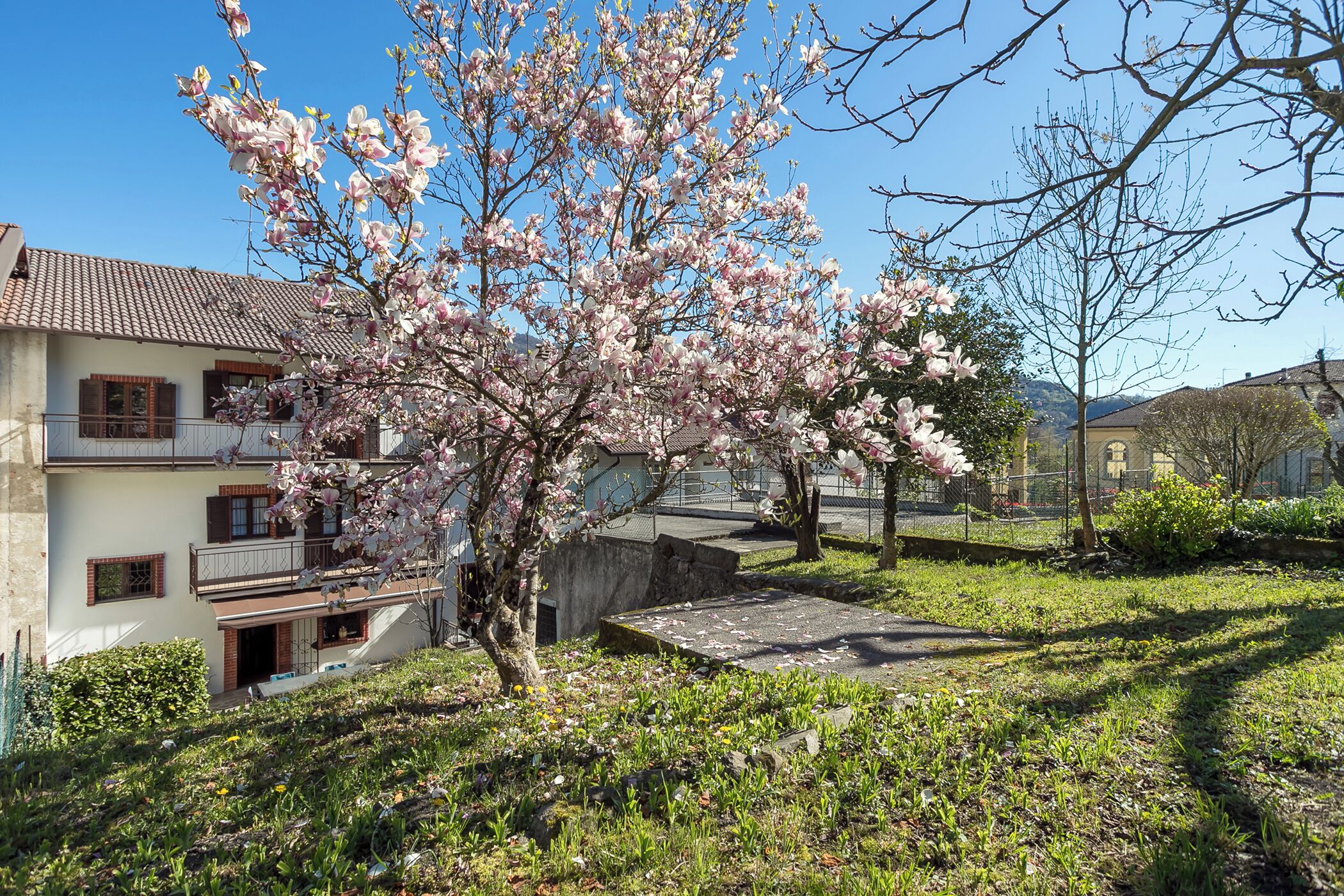 Zona residencial con un árbol floreciente, un edificio con balcón y cielo despejado.