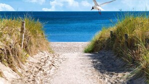 A sandy path leading to the sea with seagulls flying overhead. - Grobenbrode Baltic Horizon Haven (Grossenbrode)