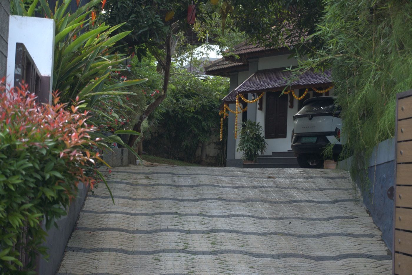 Luxury House | Property grounds