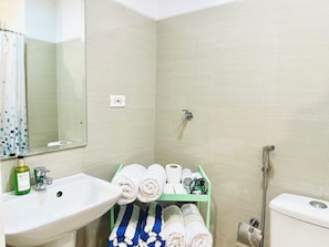 Shower, hair dryer, bidet, towels