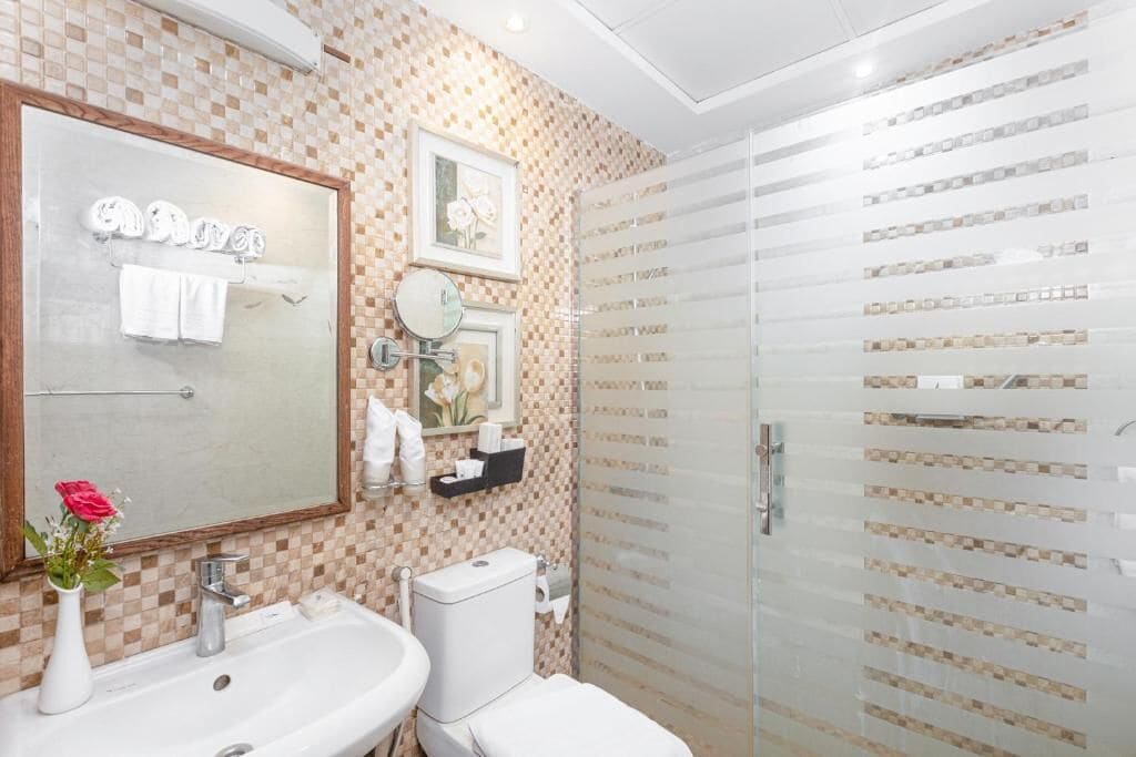 Shower, towels, soap, toilet paper