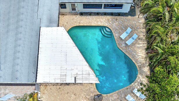 An aerial view of a swimming pool with a curved edge, surrounded by a tiled deck and a few lounge chairs. - Hollywood Hills Oasis Pool 7BR Retreat (Hollywood)