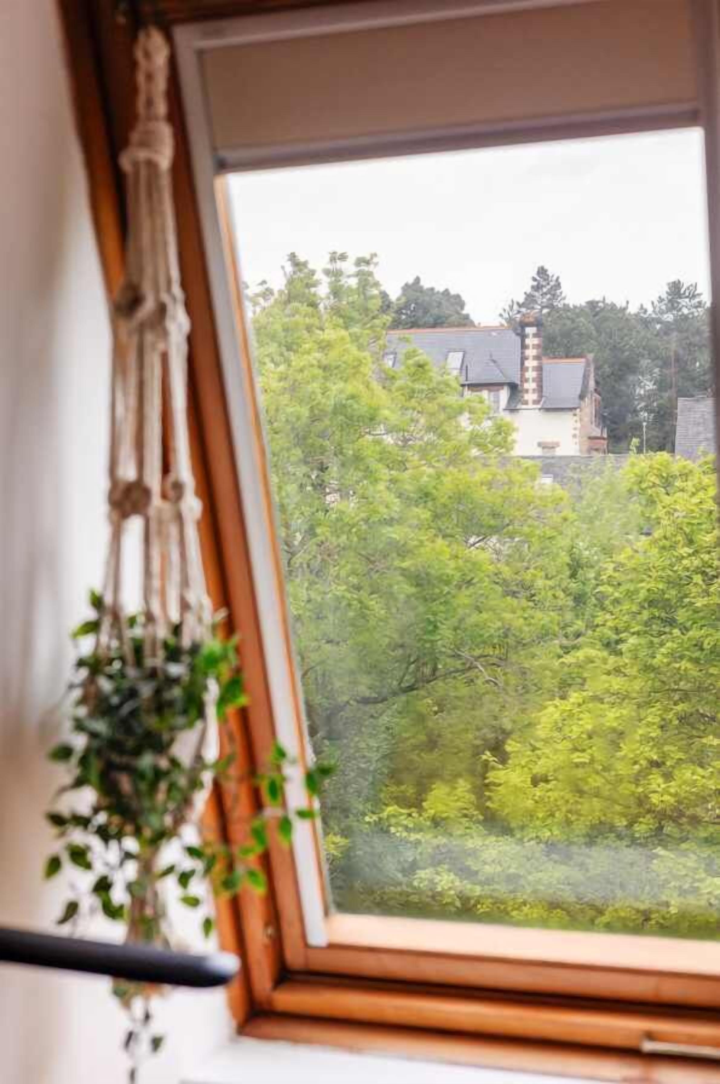 A window with a view of a residential area and trees.