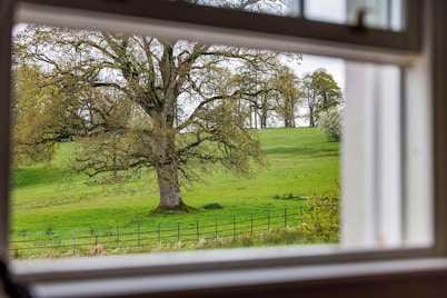 6 Bedroom house in Castle Leslie's Village Square, Glaslough